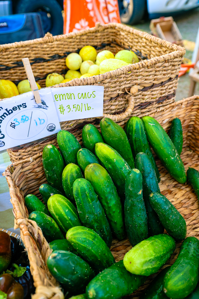 Manzanita Farmers Market on the Oregon coast