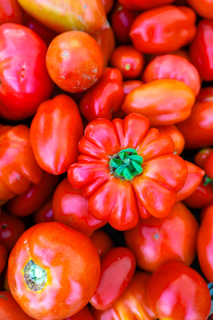 Manzanita Farmers Market on the Oregon coast