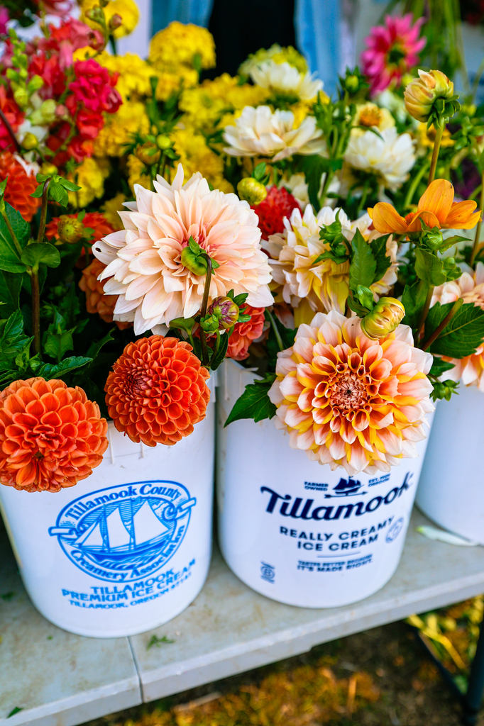 Manzanita Farmers Market on the Oregon coast