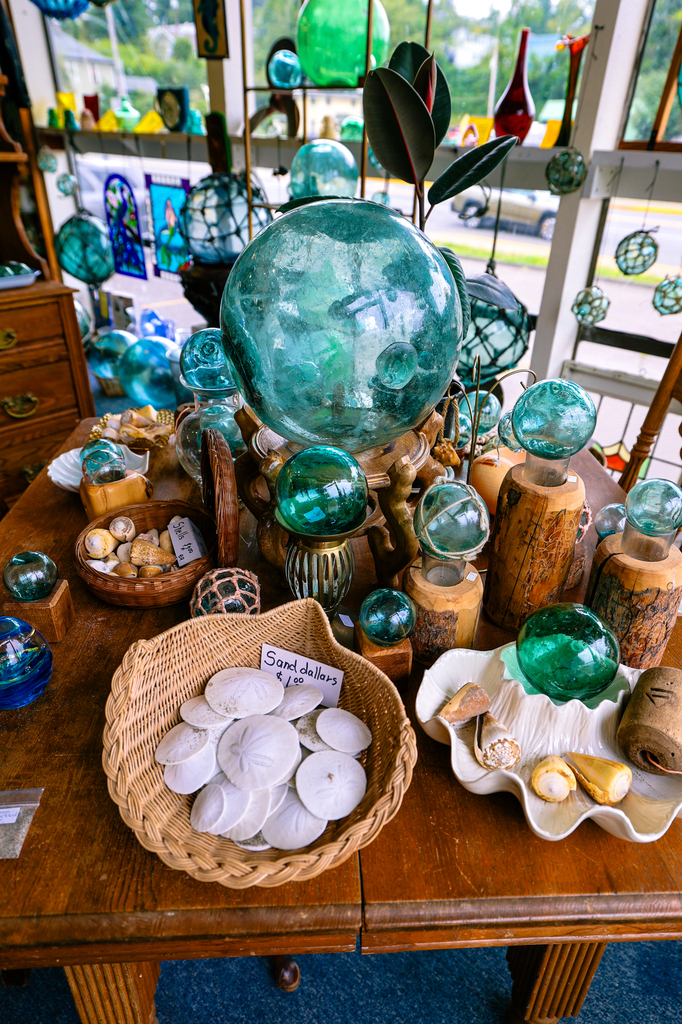 Ocean gifts in Nehalem, Oregon