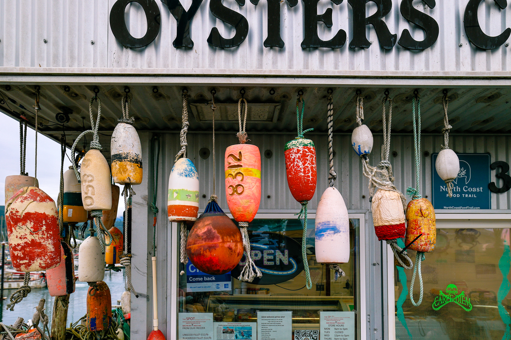 Ultimate Tillamook coast itinerary - guide to Oregon's North Coast