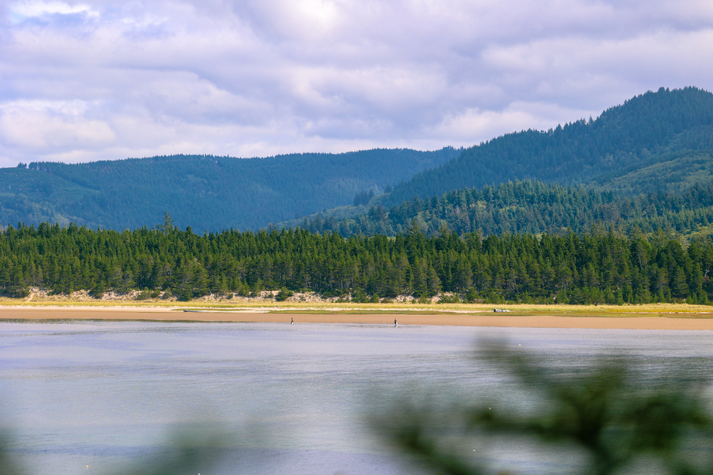 Sitka Sedge State Natural Area 