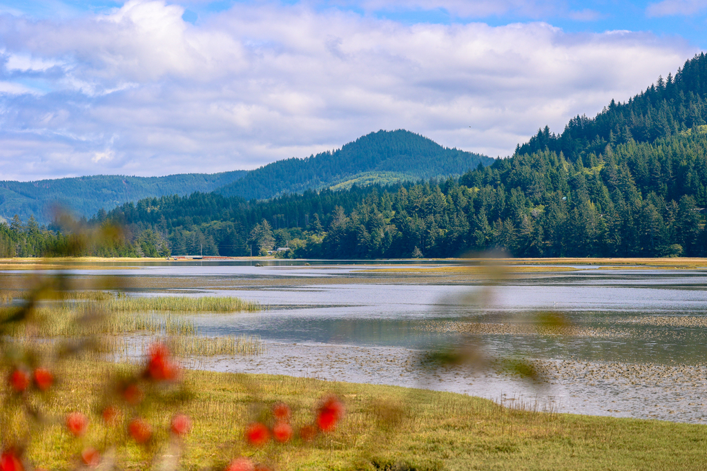 Sitka Sedge State Natural Area Loop