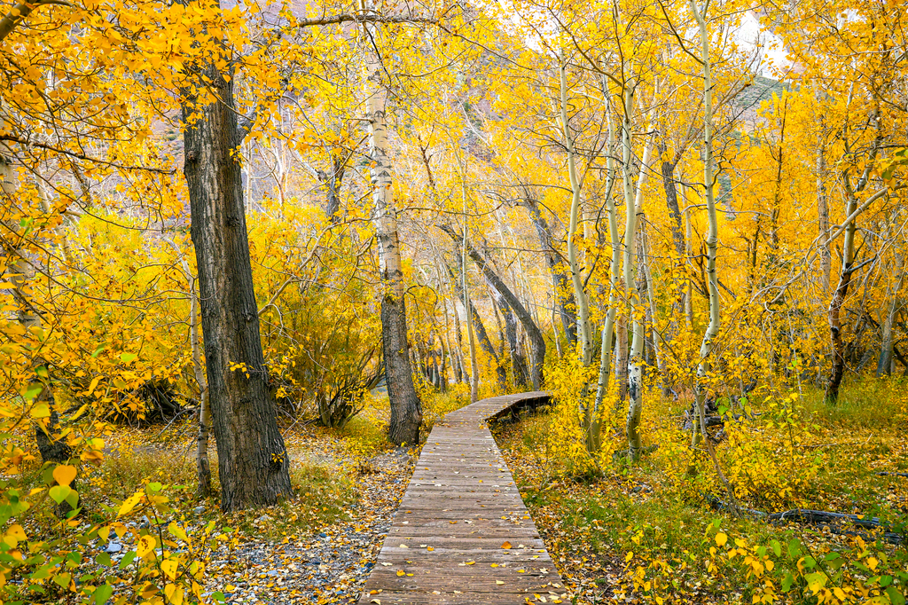 ULTIMATE Highway 395 Road Trip: Best Stops on California’s Most Scenic Drive in fall autumn 