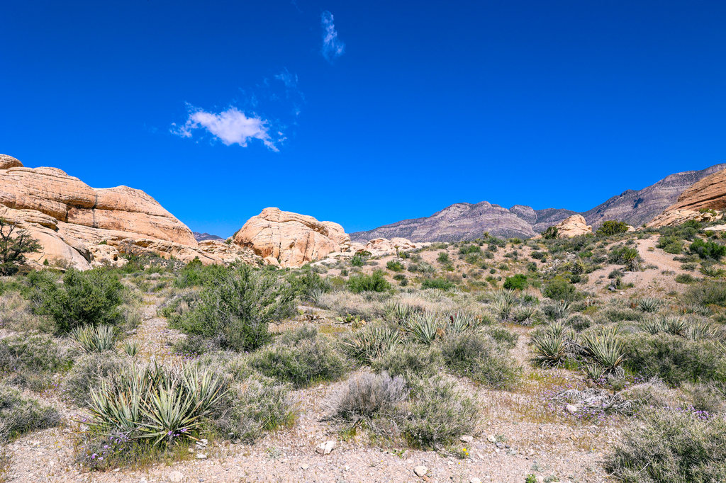 Hiking in Red Rock Canyon National Conservation Area in Las Vegas